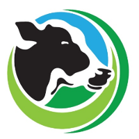 China Youran Dairy se listează pe bursa de la Hong Kong și caută să atragă până la 799 milioane dolari