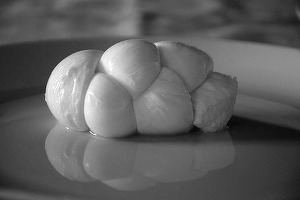 O firmă care produce mozzarella în laborator a obținut finanțare pentru extindere la nivel global