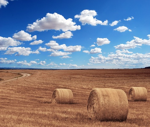 Ucraina se pregătește să înceapă recoltarea cerealelor, dar silozurile sunt deja pline