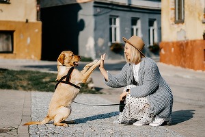 Pentru a-i face fericiți pe angajați, companiile japoneze le permit acestora să vină cu animalele de companie la birou