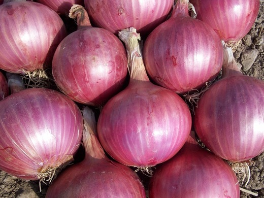 În Filipine, ceapa este mai scumpă decât carnea de vită