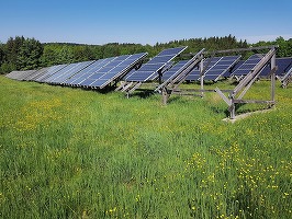 Sectorul creșterii oilor din SUA profită de pe urma expansiunii energiei regenerabile