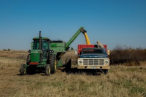 Polonia și Slovacia cer o nouă prelungire a embargoului privind cerealele din Ucraina