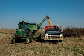 Polonia și Slovacia cer o nouă prelungire a embargoului privind cerealele din Ucraina