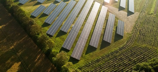 Se sparge ″bula″ regenerabilelor? Un mare dezvoltator de parcuri solare din Danemarca a intrat în insolvență, sistemul financiar resimte șocul
