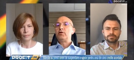 Profit LIVE TV - Să ajutăm business-ul. Răsvan Radu, CEO UniCredit și nou președinte CPBR: Băncile au fost în linia întâi, și-au făcut datoria. Inițiativele legislative din Parlament pun însă mari presiuni asupra sistemului bancar