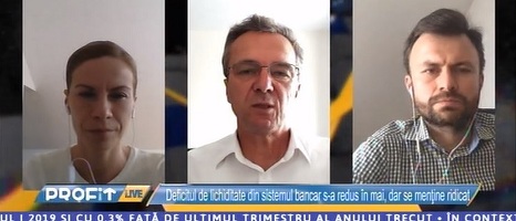Profit LIVE TV - Să ajutăm business-ul. Directorul BCR Pensii: Problema pensiilor speciale nu este nivelul sumelor, ci  numărul de ani. Nu ne permitem pensii de stat mărite cu 40%. Am văzut suficiente filme americane 