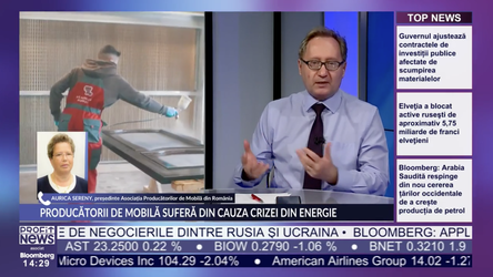 PROFIT NEWS TV Aurica Sereny, Președinte Asociația Producătorilor de Mobilă: Lipsa de lemn este și mai acută. Prețurile au luat-o razna. E o degringoladă totală