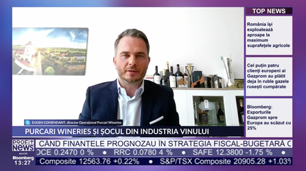 PROFIT NEWS TV Purcari Wineries, singura companie moldovenească listată la o bursă străină, respectiv BVB, amână investițiile

