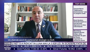 PROFIT NEWS TV Ambasadorul României în SUA și rata mare de refuz pentru vize: Nu am văzut guvernele României din ultimii 12 ani determinate
