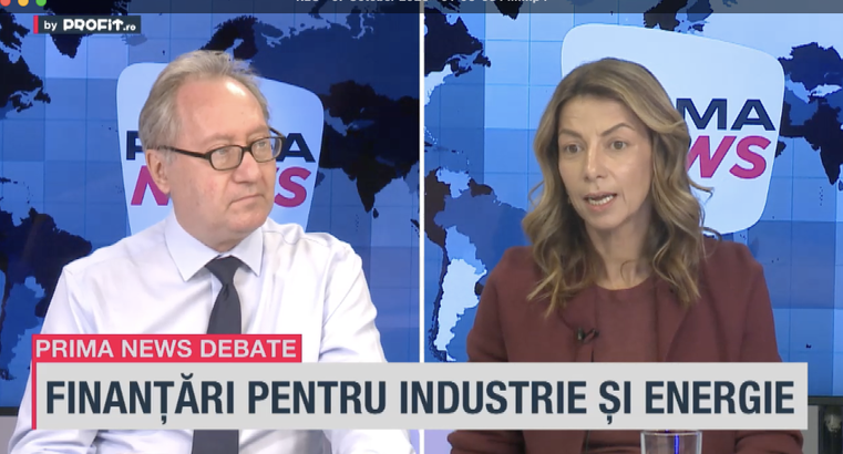 VIDEO Nu este totul să câștigi un proiect. Mihaela Toader, CEO Relians: Secretul este în implementarea și în beneficiul business-ului