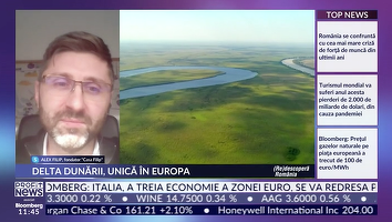 PROFIT NEWS TV (Re)Descoperă România – DELTA DUNĂRII: Un peisaj care oferă și oportunități de business. Acoperișul de stuf poate deveni cel mai scump acoperiș posibil