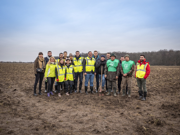 FOTO Peste 16.000 de puieți au fost plantați în județul Ilfov, la inițiativa Nordis Group, pe un teren aflat în proprietatea dezvoltatorului