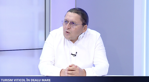 PROFIT NEWS TV (Re)Descoperă România - Marcel Vulpoi, co-fondator Gramofon Wine: România începe să devină vizibilă pe harta turismului internațional. Potențialul e imens