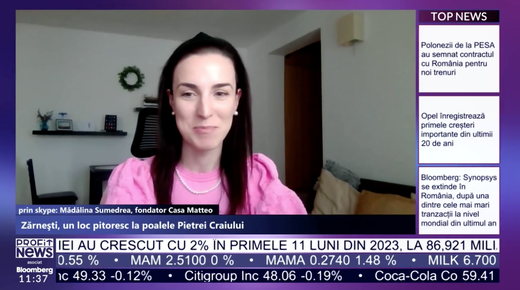 PROFIT NEWS TV (Re)Descoperă România - Mădălina Sumedrea, fondator Casa Matteo: Cea mai mare provocare pentru un astfel de business este sezonalitatea
