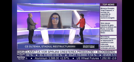 Dezbaterile PROFIT NEWS TV – Lăcrămioara Diaconu, CE Oltenia: Vom încerca să accelerăm proiectele de centrale noi. Posibil să plătim pe CO2 cât în ultimii 2 ani cumulat
