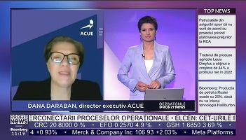 Conferințele Profit News TV - Maratonul Economia Verde. Dana Daraban, ACUE: Sursele verzi planificate a fi produse în următorii anii trebuie corelate cu o planificare clară a dezvoltării rețelelor de transport și de distribuție