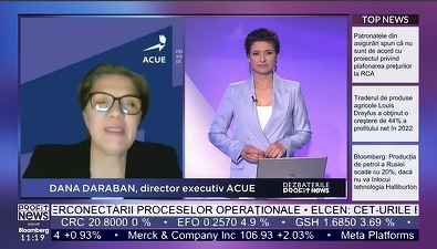 Conferințele Profit News TV - Maratonul Economia Verde. Dana Daraban, ACUE: Sursele verzi planificate a fi produse în următorii anii trebuie corelate cu o planificare clară a dezvoltării rețelelor de transport și de distribuție