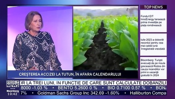 PROFIT NEWS TV Maratonul Fiscalității – JTI România: Întotdeauna noi suntem pedepsiții de serviciu. Dar ca să meargă pușculița, este nevoie de predictibilitate
