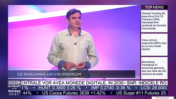VIDEO PROFIT NEWS TV Maratonul Vinului - Florin Bejan, acționar Vinexpert: Tendințe de consum: crește interesul pentru categoria premium, vinurile slab alcoolizate și moderația