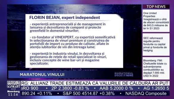 VIDEO PROFIT NEWS TV Maratonul Vinului - Florin Bejan, acționar Vinexpert: Tendințe de consum: crește interesul pentru categoria premium, vinurile slab alcoolizate și moderația