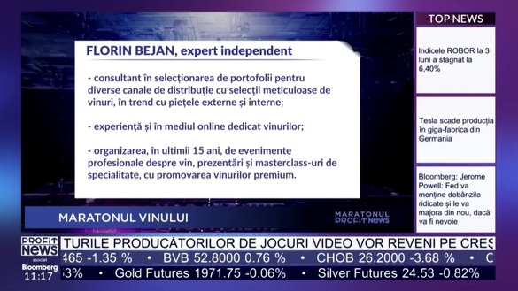 VIDEO PROFIT NEWS TV Maratonul Vinului - Florin Bejan, acționar Vinexpert: Tendințe de consum: crește interesul pentru categoria premium, vinurile slab alcoolizate și moderația