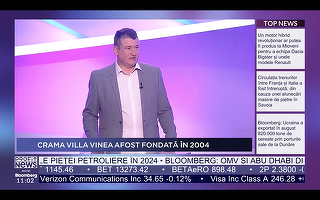 VIDEO PROFIT NEWS TV Maratonul Vinului – Mircea Matei, director executiv crama Villa Vinea: Proiectul nostru acum are o valoare totală de 1,5 milioane euro. Undeva la 50% va fi subvenția pentru extinderea de crame