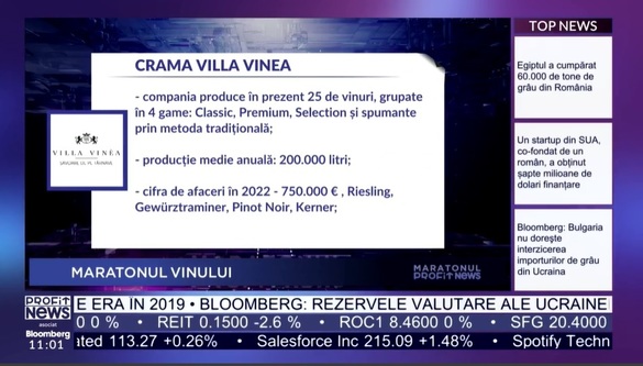VIDEO PROFIT NEWS TV Maratonul Vinului – Mircea Matei, director executiv crama Villa Vinea: Proiectul nostru acum are o valoare totală de 1,5 milioane euro. Undeva la 50% va fi subvenția pentru extinderea de crame