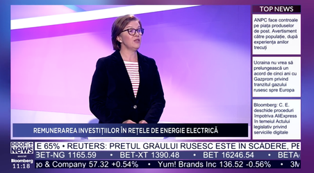 VIDEO PROFIT NEWS TV Maratonul Economia Sustenabilă – ACUE: Nu suntem mulțumiți de proiectul de actualizare a ratei de rentabilitate a investițiilor din distribuție. Statul român are prostul obicei de a crede că lucrurile se pot face la nimereală
