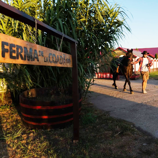 Antreprenor: Am transformat un business nesustenabil într-o fermă agroturistică, unde copiii experimentează liber viața la țară