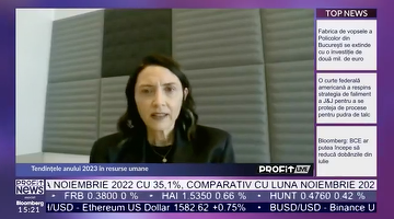 VIDEO PROFIT LIVE Irina Mînzală, director resurse umane EY România: Cu toții experimentăm dificultăți în a găsi talent. Inclusiv în Big Four recrutăm din afara României