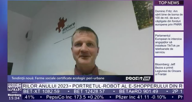 VIDEO PROFIT LIVE Damien Thiery, director general Asociația Ateliere Fără Frontiere: Forță de muncă avem, dar nu avem suficiente locuri de muncă