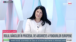 VIDEO Profit.ro TV - Ramona Ivan, ARB: Fără fonduri europene, este greu să gândești o anumită dezvoltare. Au existat foarte multe proiecte implementate care au „dus drumul spre nicăieri”