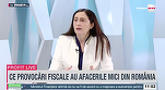 VIDEO Profit.ro TV - Nadia Oanea, fondator Tax & Training: Vin noi obligații de raportare pentru firmele străine. Este posibil să facă calculul după regulile contabile românești sau după regulile contabile aplicabile de compania-mamă