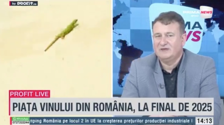 VIDEO Recoltă bună la vin românesc. Mircea Matei, CEO Fine Wine Lacerta: Creșterea costurilor va afecta toate cramele. 2026 nu va fi un an ușor, ne așteptăm mai degrabă la o scădere. Recolta va fi însă de calitate - Profit.ro Live TV