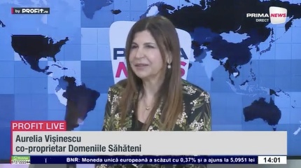 VIDEO Vor fi crame de vânzare. Aurelia Vișinescu, co-proprietar Domeniile Săhăteni: Consumul de vin roșu și rosé este în scădere, a crescut însǎ consumul de vin alb, crește consumul de vin spumant -  Profit.ro Live TV
