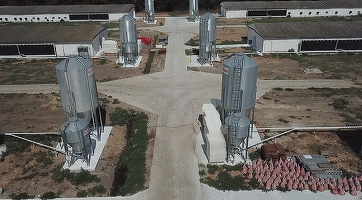 VIDEO PROFIT NEWS TV Poveștile Bursei – De la hobby farming, la agritech. În 25 ani de existență, Agroland a ajuns la 260 magazine și afaceri de 45 milioane euro. Planuri companiei merg însă mai departe de atât