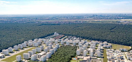VIDEO PROFIT NEWS TV Poveștile Bursei – Pilonii dezvoltării în imobiliare. Dezvoltatorul Impact, unul dintre cei mai mari din țară, continuă expansiunea