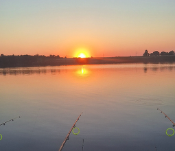 Derogarea de la Legea construcțiilor pentru panouri fotovoltaice pe amenajări piscicole de stat - eliminată