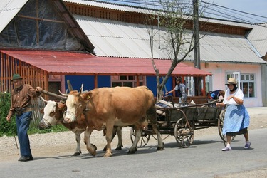 DECIZIE Apare ”Viața la țară” - platformă similară Booking, dar cu gospodării țărănești care fac agroturism. Noua platformă va raporta încasările la ANAF 