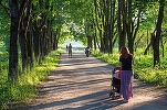 În prag de a ieși de la guvernare, liberalii vin cu măsuri sociale: Stimulent de inserție în muncă egal cu indemnizația de creștere a copilului și scutirea anumitor părinți și tineri de supraimpozitare la part-time - proiecte