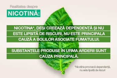 Nicotina nu este principala cauză a bolilor asociate fumatului