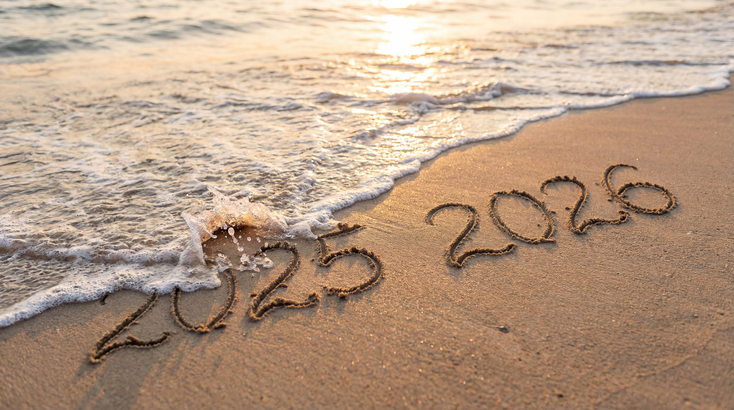 Ieșim din 2025, an în care Profit.ro a devenit liderul presei de business, exact la 10 ani de la lansare. Urmează un an 2026 cu mari provocări. Mulțumim cititorilor și partenerilor pentru că ne sunt permanent alături