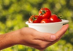 Casa-gradina.ro - Viața la bloc nu mai este un obstacol pentru grădinărit: Legume care cresc și în spații mici