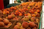 Caloria.ro - Fructe care nu îngrașă deloc în timpul verii
