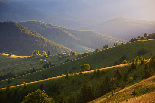 Casa-gradina.ro - Vacanță în Serbia: excursie în munții Tara și Zlatibor