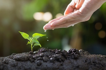 Casa-gradina.ro - LISTA Ce legume poți planta în septembrie