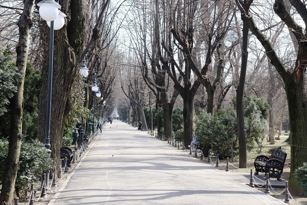 Bucuresti.ro - Parcuri mai puțin cunoscute în București, dar care își oferă o experiență plăcută