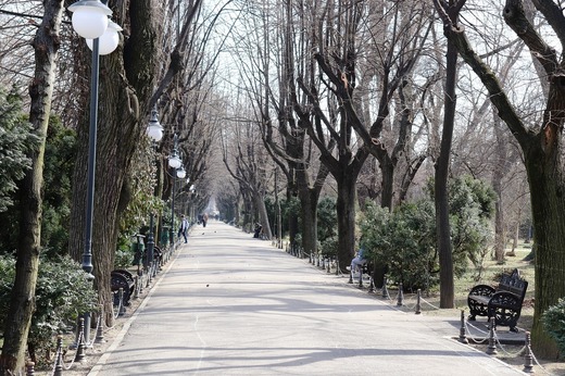 Bucuresti.ro - Parcuri mai puțin cunoscute în București, dar care își oferă o experiență plăcută