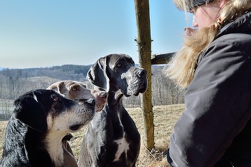 Zooland.ro - Câinii ne seamănă: personalitatea stăpânilor influențează comportamentul
